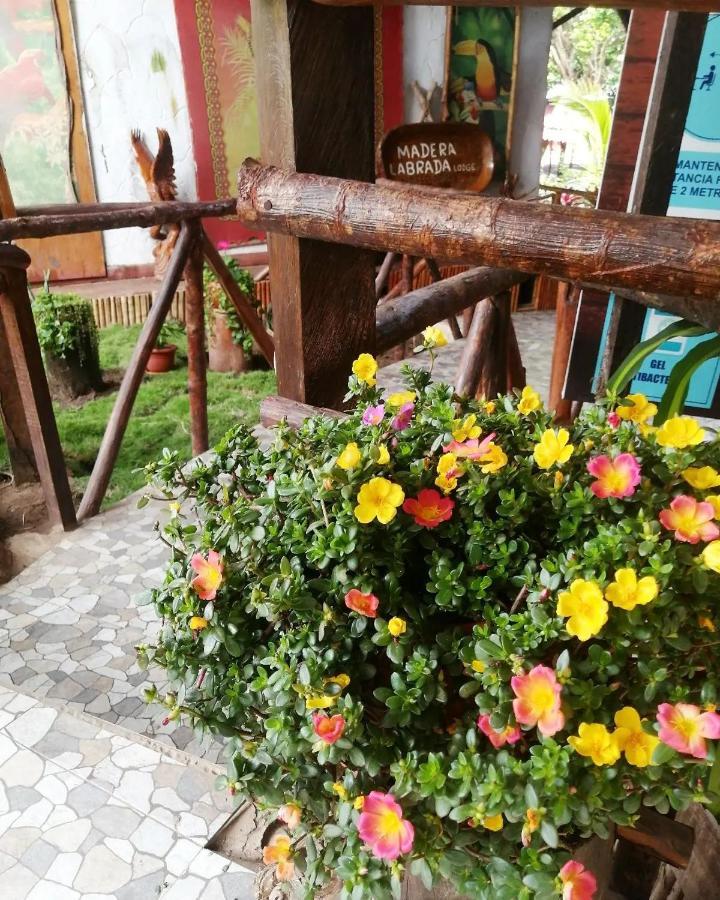 Madera Labrada Lodge Ecologico Tarapoto Kültér fotó